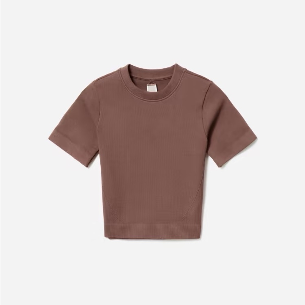 NWT Everlane The Seamless Tee in Acorn